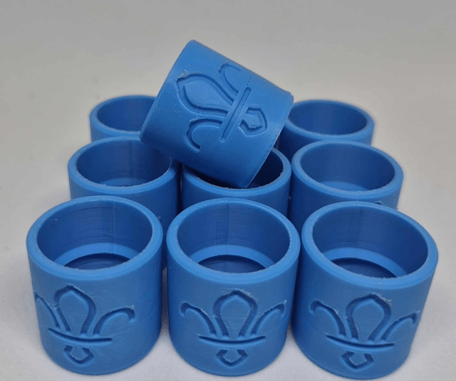 Woggle 10 Pack