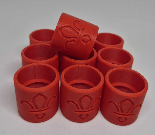 Woggle 10 Pack